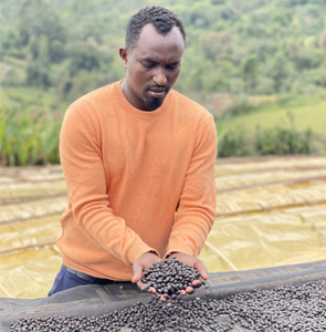 alex haribegona coffee