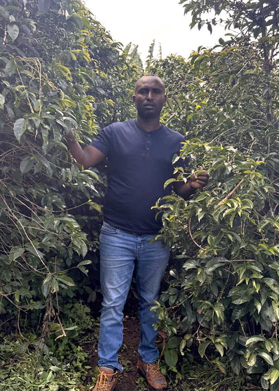 alex haribegona coffee