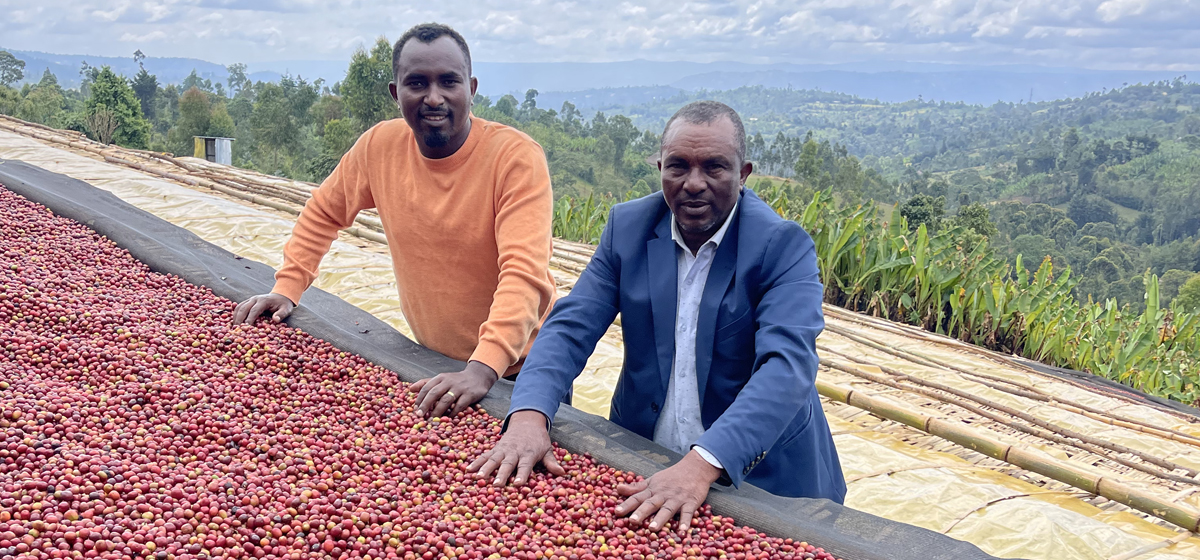 haribegona coffee owners